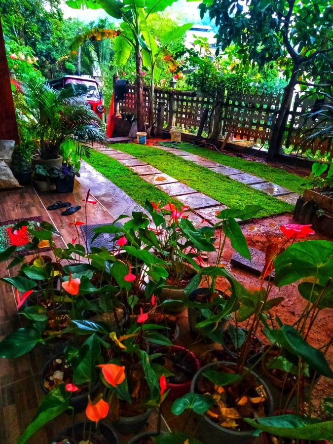 Maleesha Homestay Ella Luaran gambar