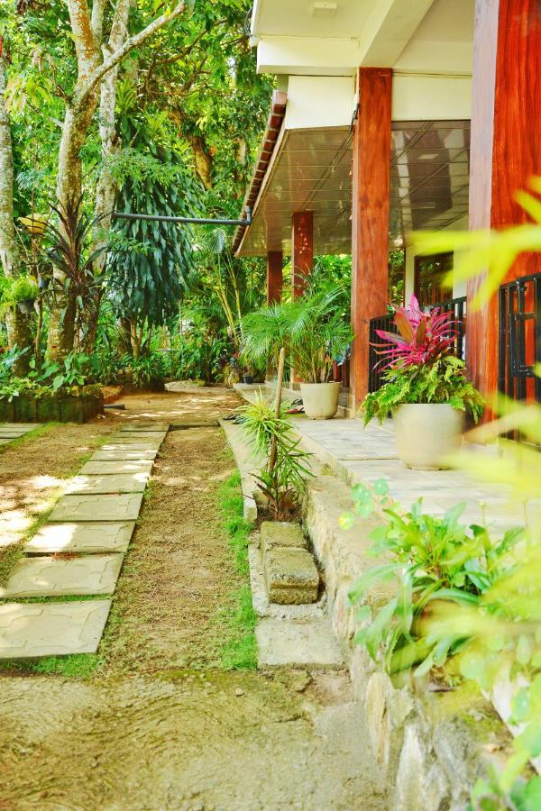 Maleesha Homestay Ella Luaran gambar